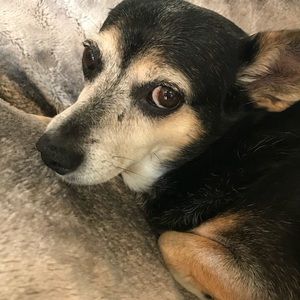 Meet your Posher, Jody